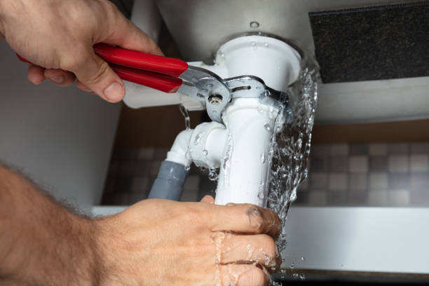 Best Flooded house restoration  in Prospect, KY