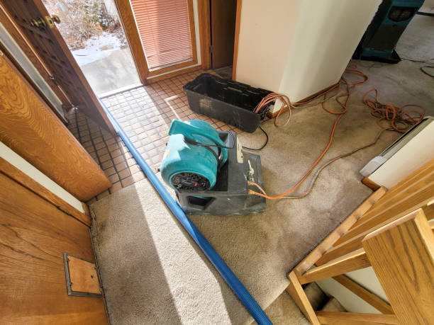 Best Emergency water damage restoration  in Prospect, KY