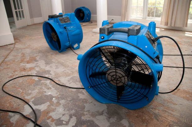 Best Flood restoration services  in Prospect, KY