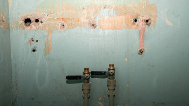 Best Flood damage cleanup  in Prospect, KY