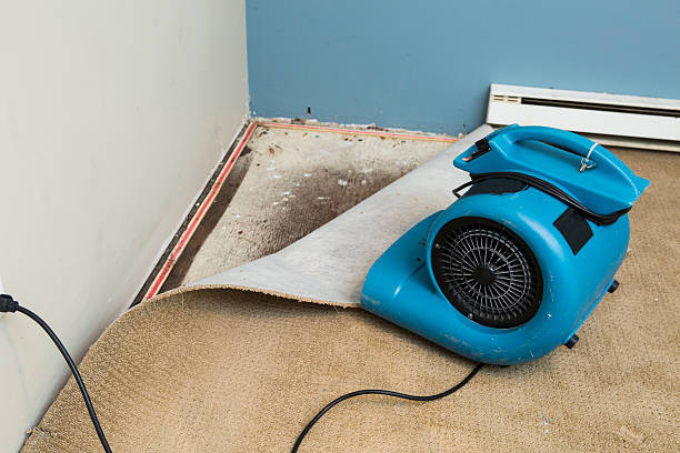 Best Water damage restoration insurance claims  in Prospect, KY